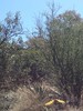 photo thumbnail #15
