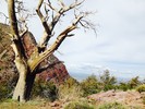 photo thumbnail #14
