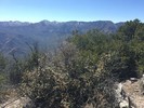 photo thumbnail #15