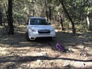 photo thumbnail #2