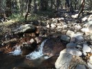 photo thumbnail #5