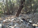 photo thumbnail #7