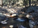 photo thumbnail #9