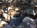 photo thumbnail #11