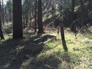photo thumbnail #15