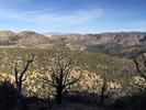 photo thumbnail #4