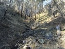 photo thumbnail #6