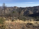 photo thumbnail #7