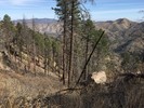 photo thumbnail #14