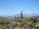 photo thumbnail #8