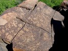photo thumbnail #9