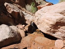 photo thumbnail #5