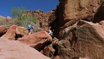 photo thumbnail #7