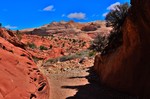 photo thumbnail #8
