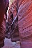 photo thumbnail #15