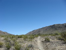 photo thumbnail #1