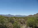 photo thumbnail #3