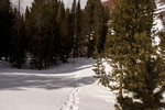 photo thumbnail #6
