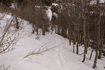 photo thumbnail #7