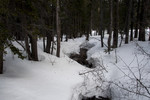 photo thumbnail #11