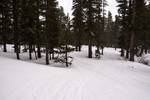 photo thumbnail #12