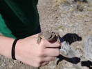 photo thumbnail #8