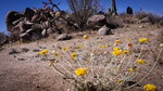 photo thumbnail #6