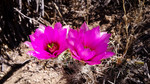 photo thumbnail #7