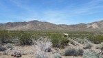 photo thumbnail #6