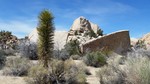 photo thumbnail #2
