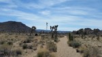photo thumbnail #15