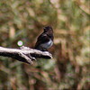 photo thumbnail #15