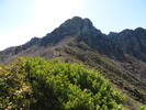photo thumbnail #2