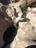 photo thumbnail #13