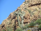 photo thumbnail #5