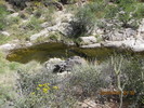photo thumbnail #7