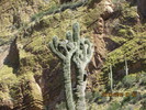 photo thumbnail #6