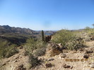 photo thumbnail #12