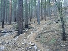 photo thumbnail #2