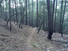 photo thumbnail #3