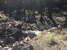 photo thumbnail #3