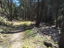 photo thumbnail #5