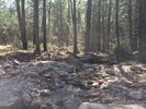 photo thumbnail #9