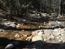 photo thumbnail #11