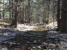 photo thumbnail #14
