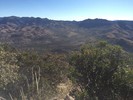 photo thumbnail #12