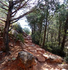 photo thumbnail #7