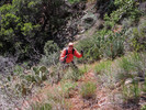 photo thumbnail #4
