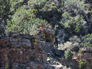 photo thumbnail #9