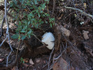 photo thumbnail #14